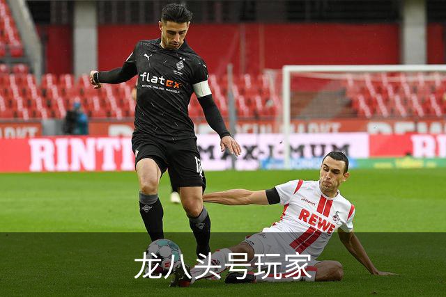 龙八头号玩家公司介绍展示图